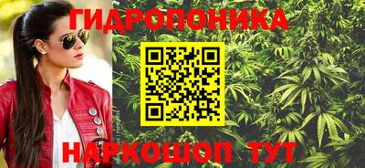ГАЛЛЮЦИНОГЕННЫЕ ГРИБЫ Новозыбков