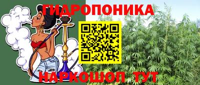 ГАЛЛЮЦИНОГЕННЫЕ ГРИБЫ Новозыбков