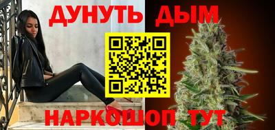 сатива Новокубанск