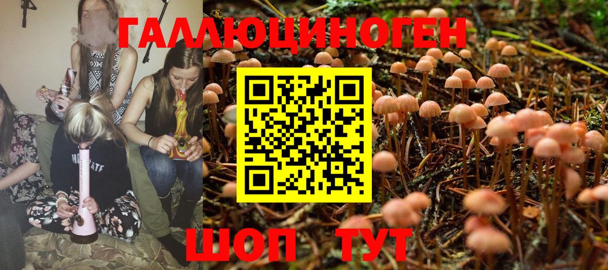 Санкт-Петербург  Галлюциногенные грибы MAGIC MUSHROOMS  Вход с VPN 